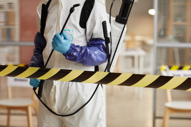 Professional Sewage Cleanup technician working in Manley, NE